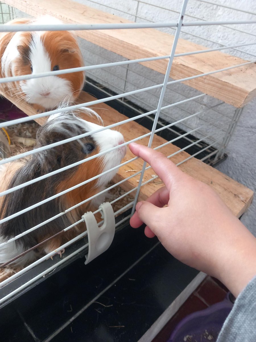 Rafa &amp; Browny =)