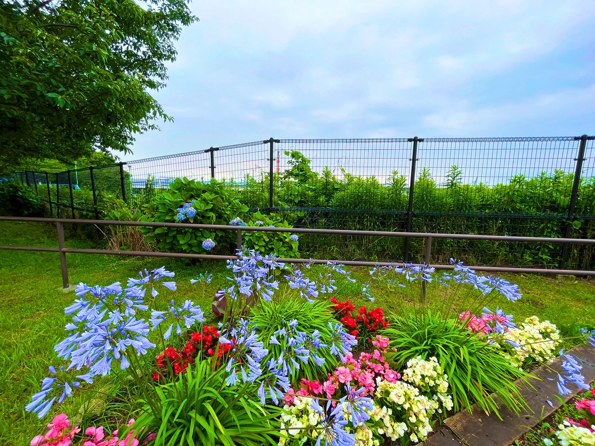 6月17日（土）
薩摩の日
手巻き寿司の日
いなりの日
同窓会の日

おはようございます😃
東京は☀️ 31℃予報
今日も穏やかなよき一日に
なりますように😉

画像は先日の
横浜・本牧市民臨海公園
高台に位置し眼下には
子供の頃によく通った
本牧市民プールが😊
何故かフグの
モニュメントも🐡