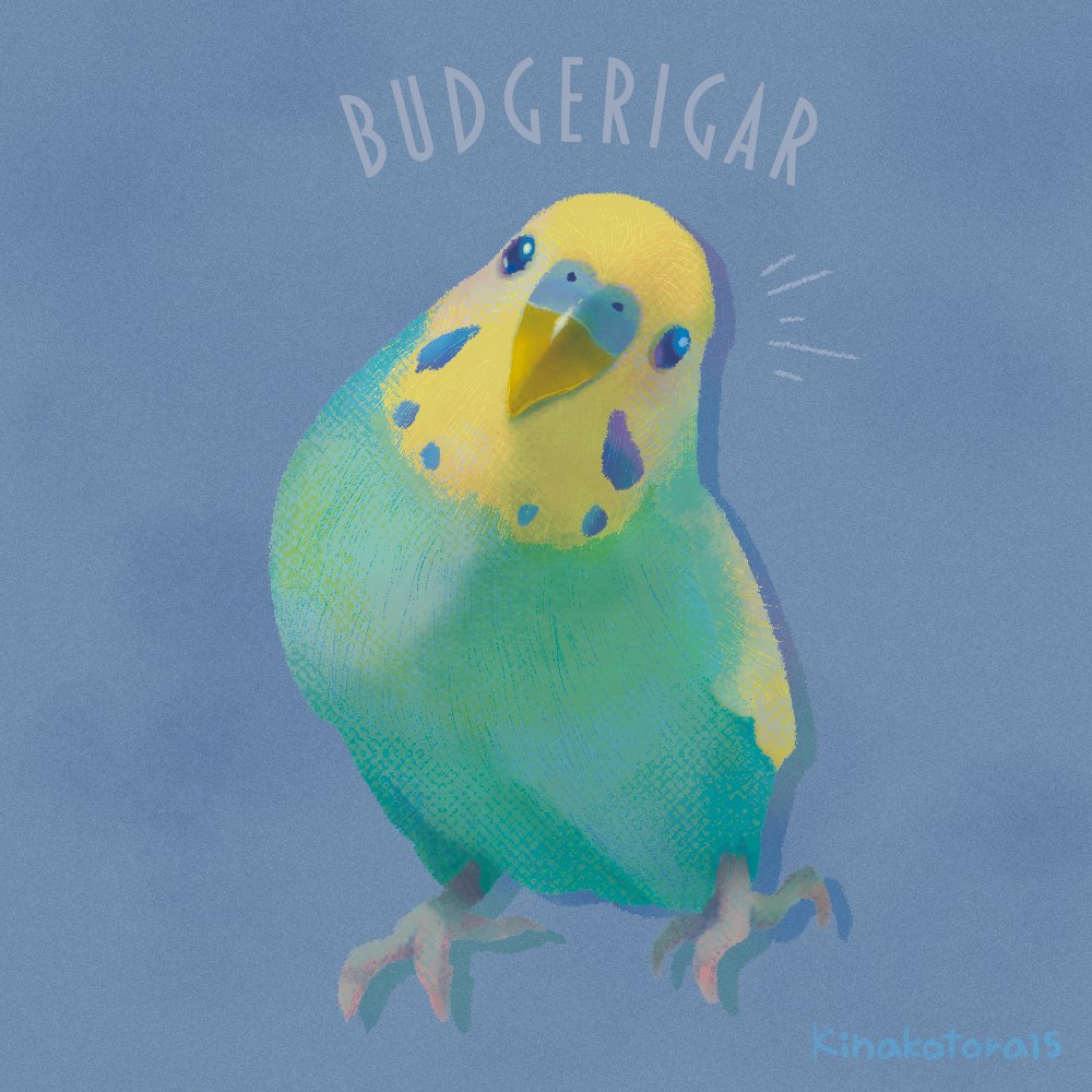 ペットの似顔絵イラスト練習中2🕊
インコも可愛～🦜💞