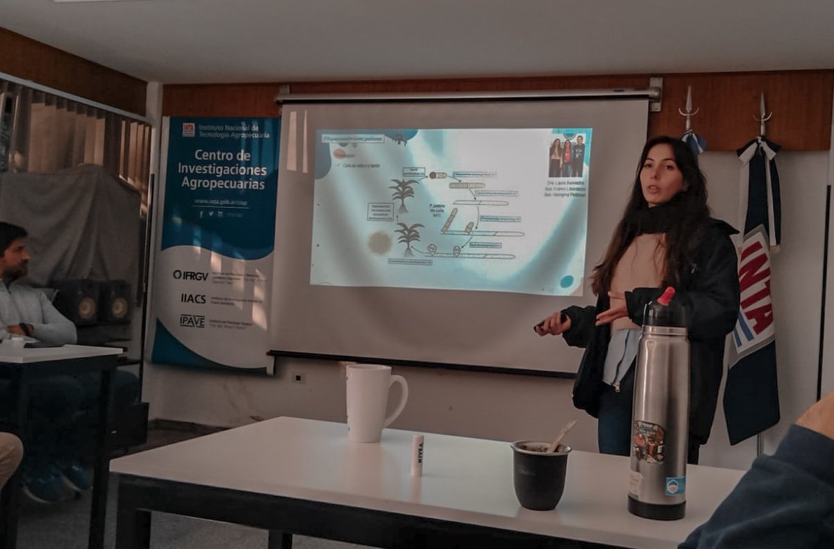 georpettinari's tweet photo. Today at @intaCIAP seminars! ๐ฑ๐ฅฐ #physco #plantdevelopmentalbiology
#autophagy #polargrowth https://t.co/LkNCAES7fY