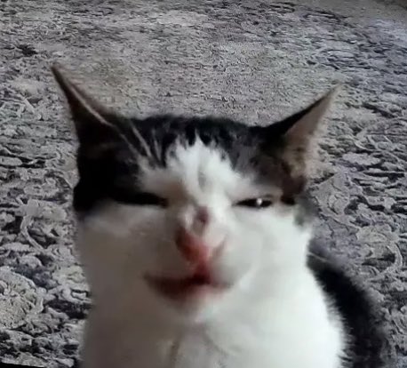 trashcanpapi's tweet photo. I have felt like garbage all day. https://t.co/oRLDV2p5ul