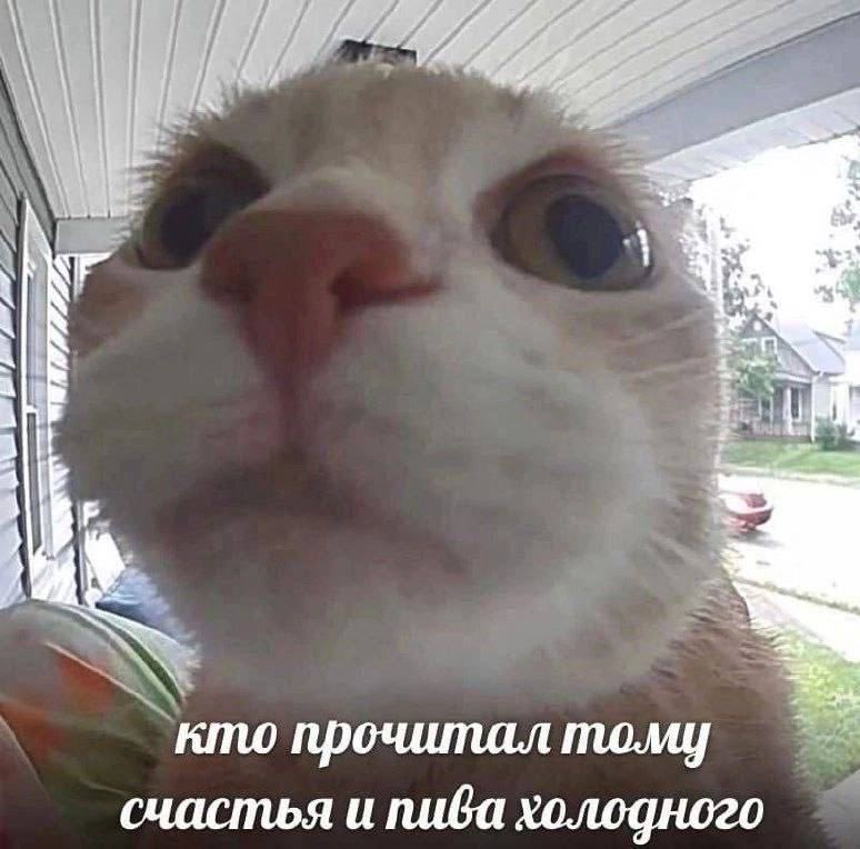 lagoda1337's tweet photo. https://t.co/uaWySVzkS1