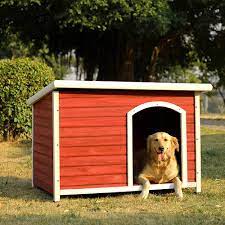 🐶shelter for your furry friend! 
Introducing the ultimate dog house that keeps your pup comfy and protected all year round! 🐾

#DogHouseDeluxe  #PetParadise #dog #doghouse #besthouse

Let your pup experience the best of doggie living! 

Learn more: amzn.to/3Ji00b4
