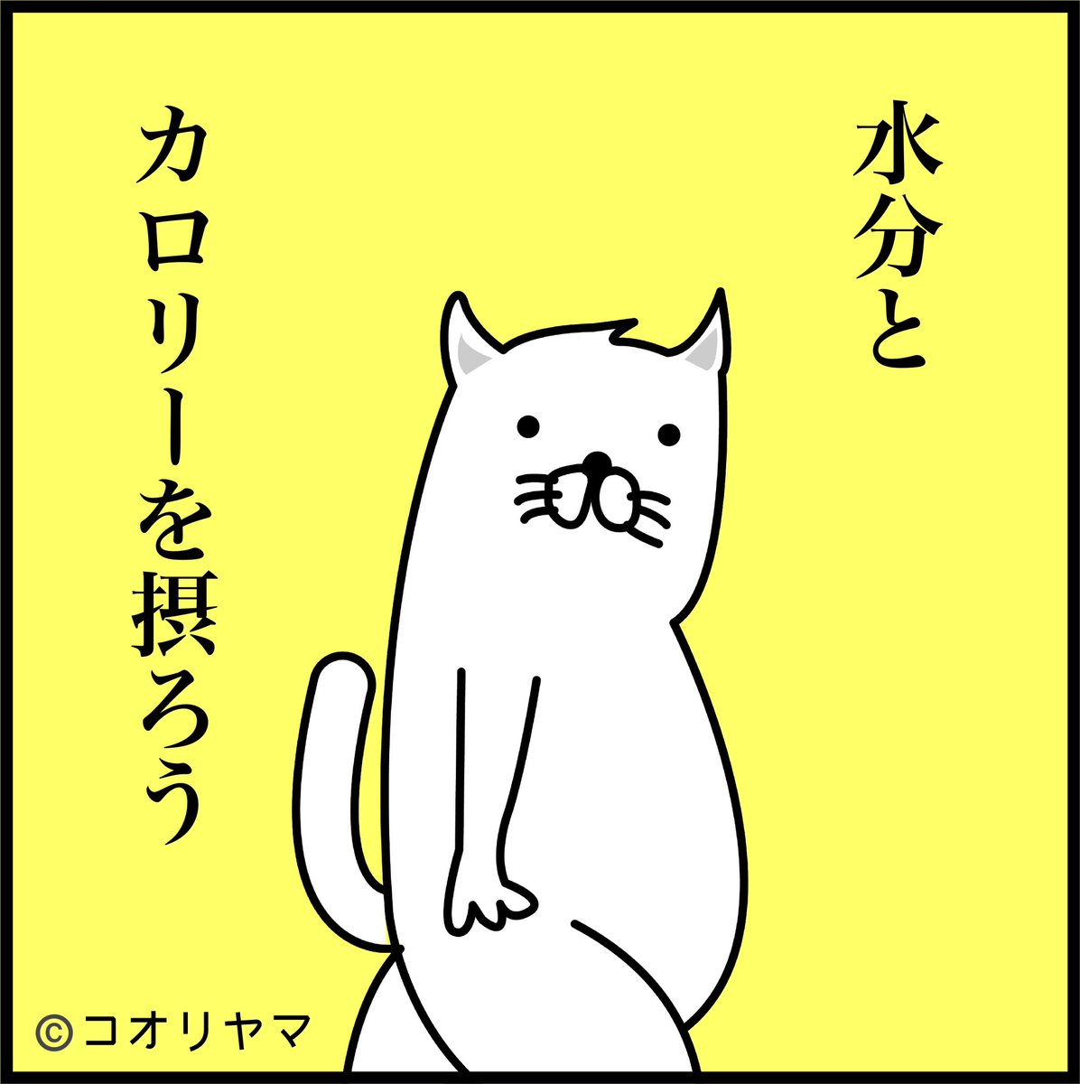 今日は暑いですね。 水分補給をこまめにどうぞ…!