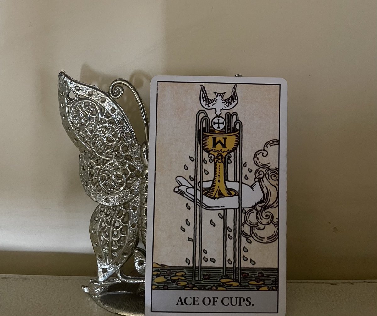 Card of the day: Ace of Cups

The Ace of Cups represents beauty, renewal and rebirth. Open your heart and be receptive to the beauty all around you. Love is everywhere and for today, you will experience it fully. 

#tarot #cardoftheday #aceofcups #saturday #shahanasen #guidance