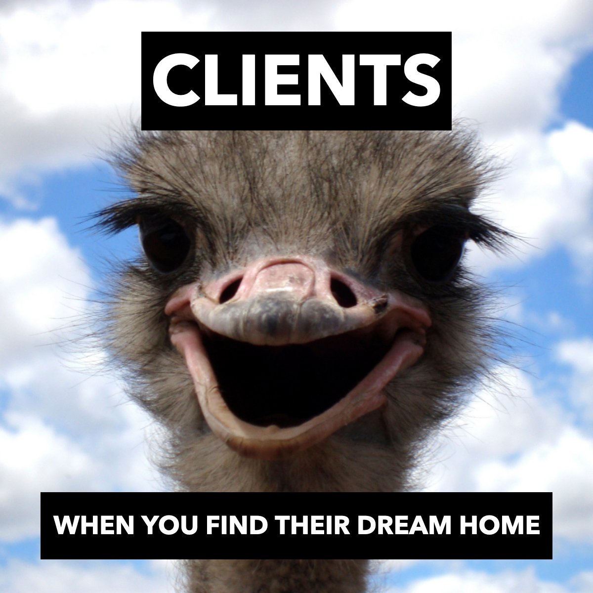 Is there a better feeling in the world? 🤗

#clients    #buyers    #buyer    #ostrich    #awe    #shock    #househunting
#HomeForSale #SimiValleyHOmes #ThousandOaksHOmesforSale #MoorparkHomesForSale #VenturaCountyHomeForSale #CindyTothRealtor #EducateAndNEgotiate