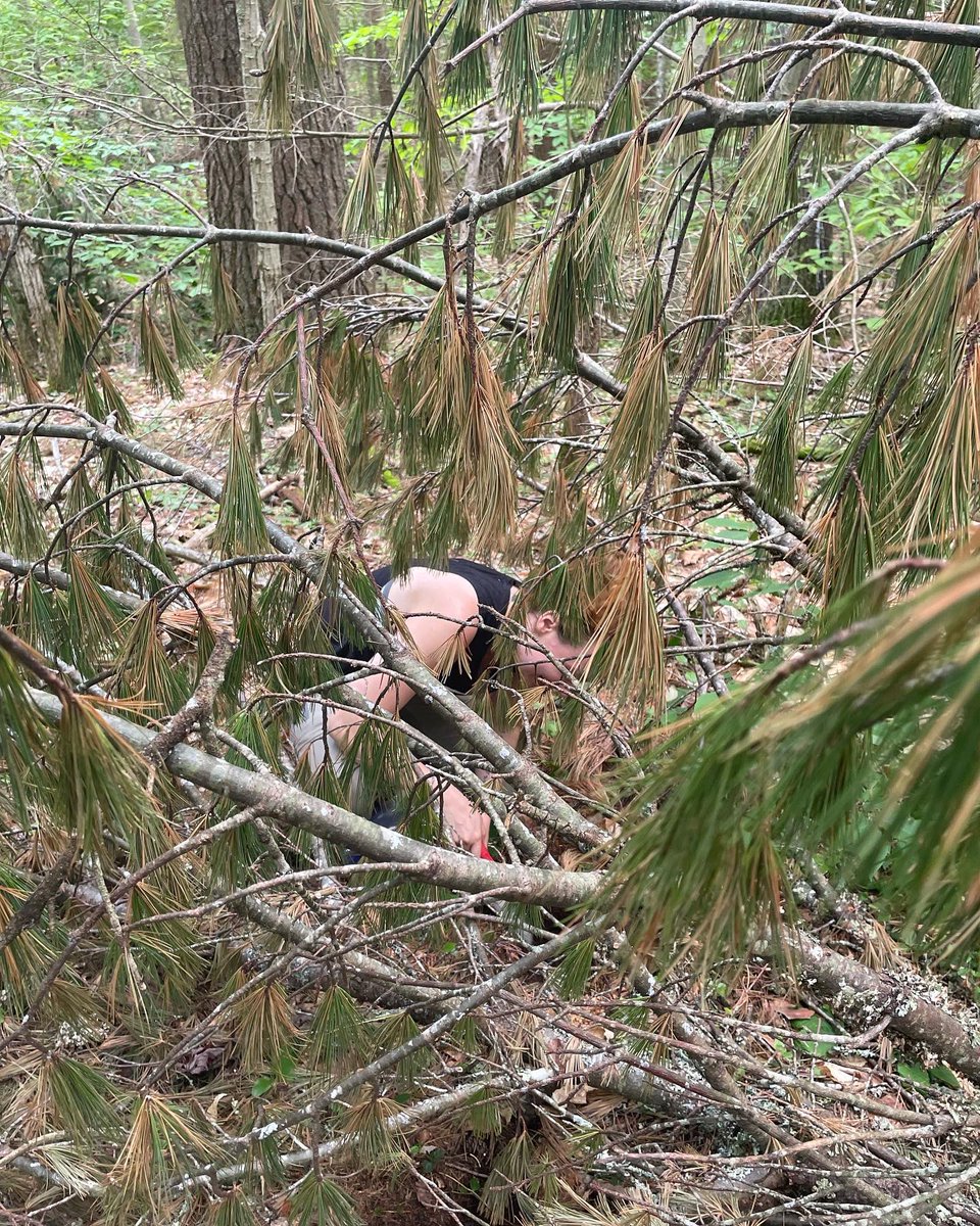CoreyPalmer3's tweet photo. Trees fell on 2 of my 3 plots at one of my sites. Honestly it was comedic. https://t.co/UhrXtVK2Bt