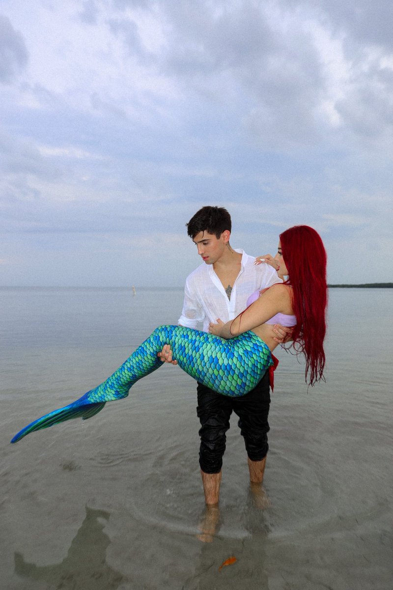 Augusto Gimenez 🌹 tweet media