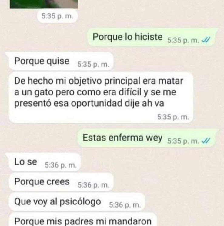 NADIASANABIA's tweet photo. A LOS 15, SU PRIMER ASESINATO.- ¿Qué hacemos con gente como Vanessa, la joven de 15 años del CBTIS de Huachinango, #Puebla, que torturó y asesinó a un perrito y además lo subió a sus redes sociales, en las que, por cierto, tiene mensajes satánicos?

Por supuesto que es un peligro para los demás y sí misma; su familia seguramente ha hecho lo que está en sus manos para ayudarla, pero ella ya decidió que quiere ser “mala”

¿Cómo llegan a eso y qué hacemos frente a eso?