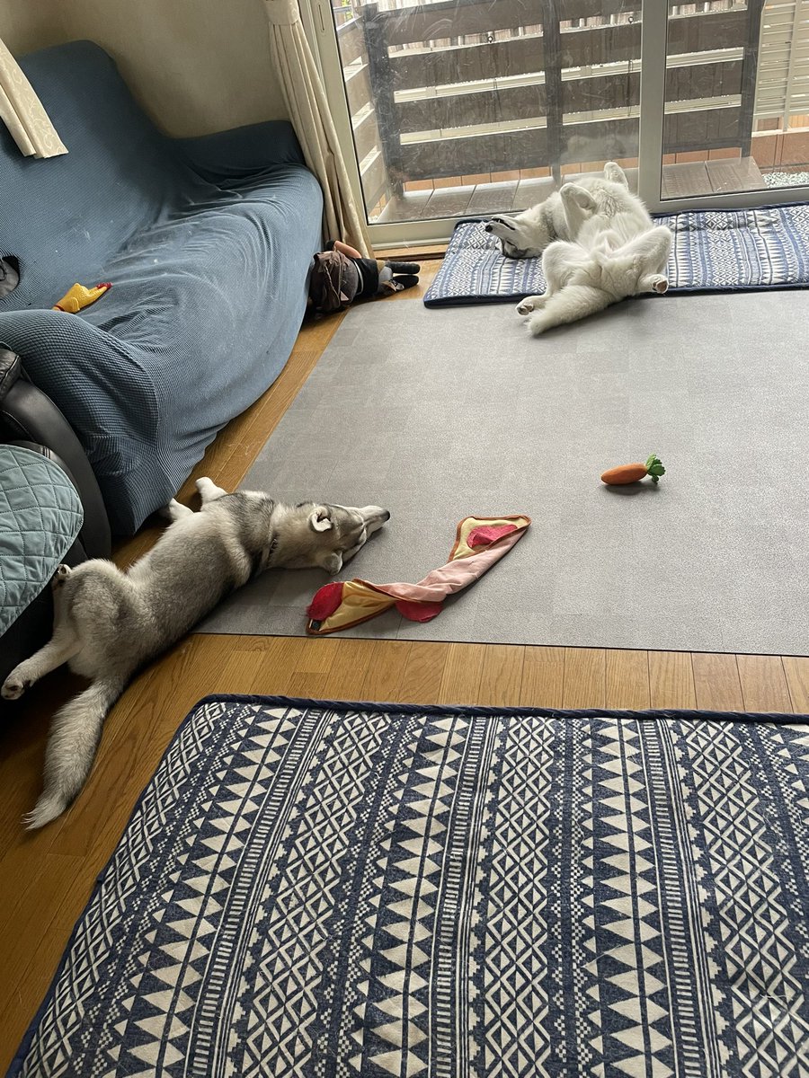 レナまま tweet media