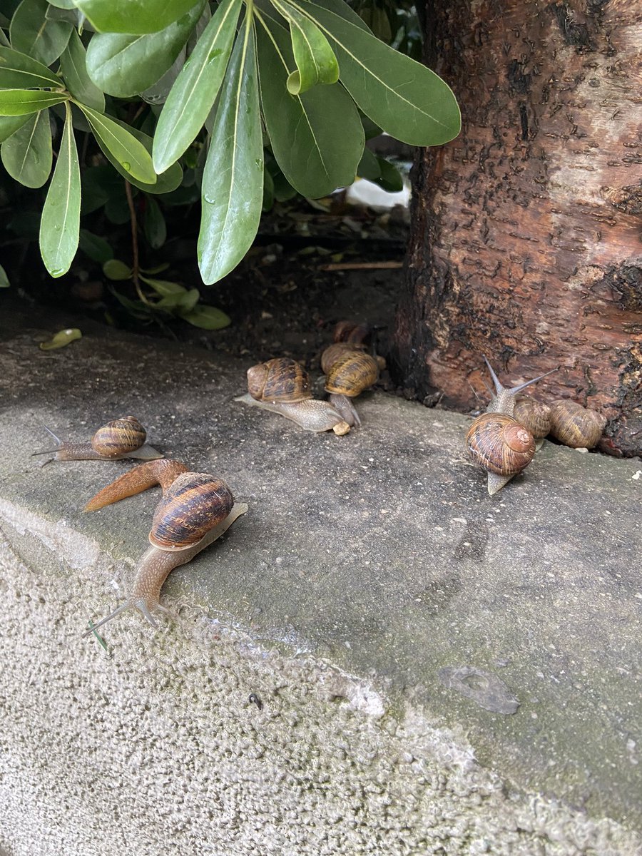 Günaysın, herkes ekmeğinde 😌