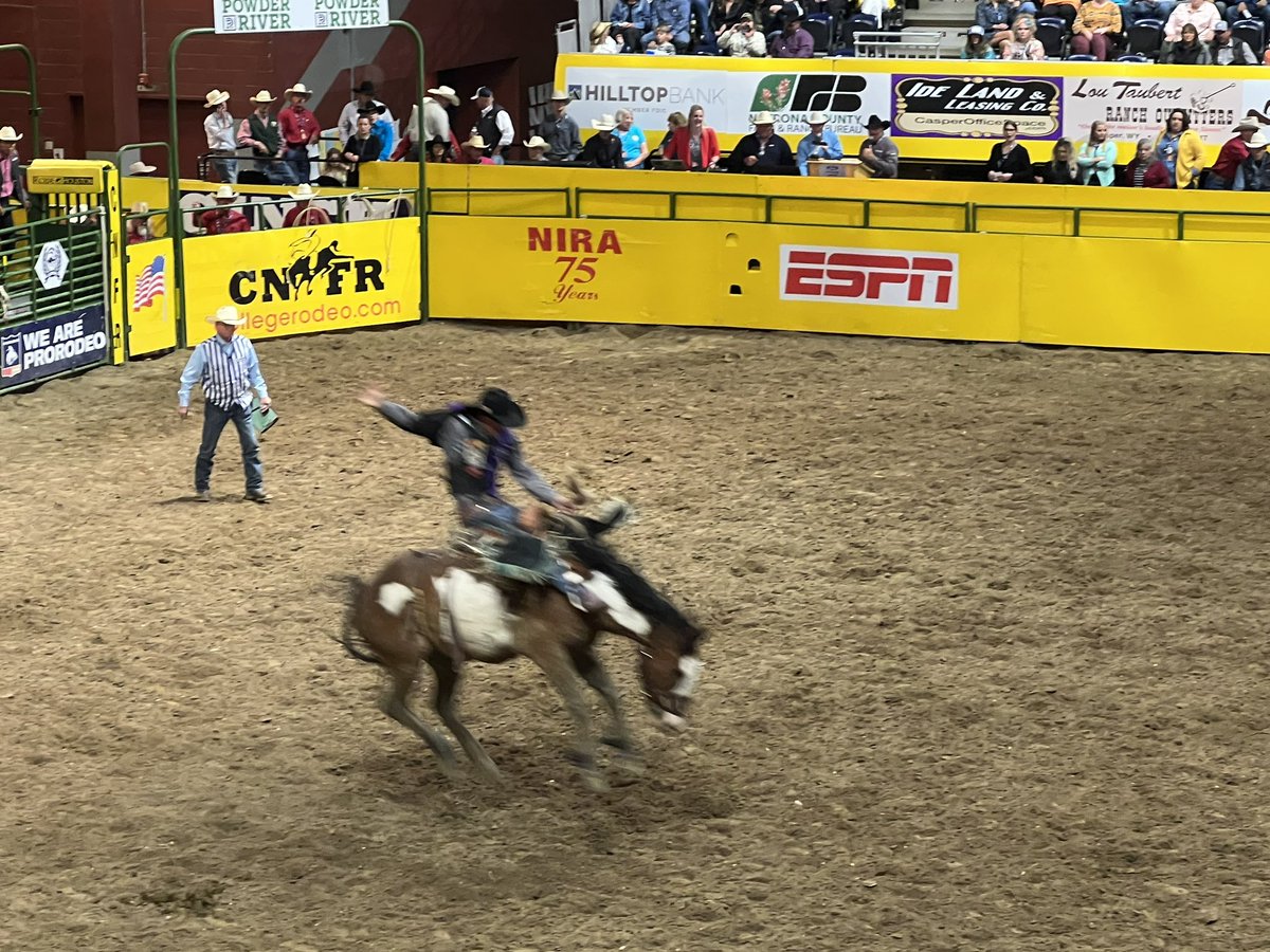 TarletonPrez's tweet image. Tarleton. Rodeo. Excellence. Proud of our four Texans (Jordan, Wyatt, Gus and Tayler) for their @collegerodeo performances tonight! #BleedPurple #CNFR #RodeoU