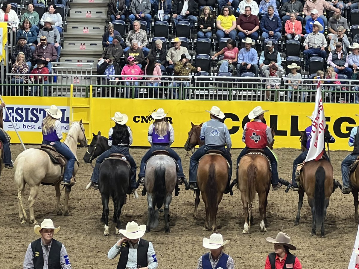 TarletonPrez's tweet image. Tarleton. Rodeo. Excellence. Proud of our four Texans (Jordan, Wyatt, Gus and Tayler) for their @collegerodeo performances tonight! #BleedPurple #CNFR #RodeoU