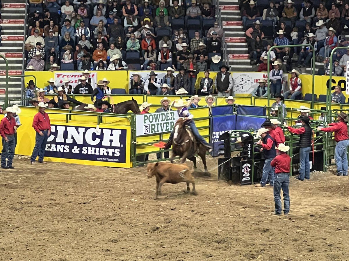 TarletonPrez's tweet image. Tarleton. Rodeo. Excellence. Proud of our four Texans (Jordan, Wyatt, Gus and Tayler) for their @collegerodeo performances tonight! #BleedPurple #CNFR #RodeoU