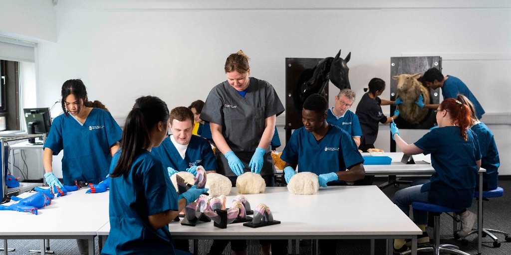 University Open Day today, it's not too late to attend 🐶✔️

Come visit our veterinary medicine team and take a tour of our facilities.
📅 Saturday 17 June
⌚ 9.00am - 3.00pm BST
📍 Preston Campus

Interested? Click below to book. 
ow.ly/xfzq50OOmTH
