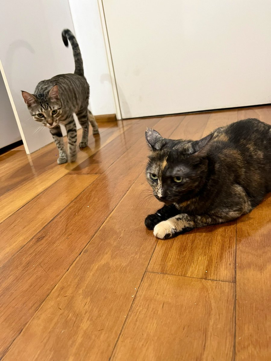 Dave Krantz tweet media