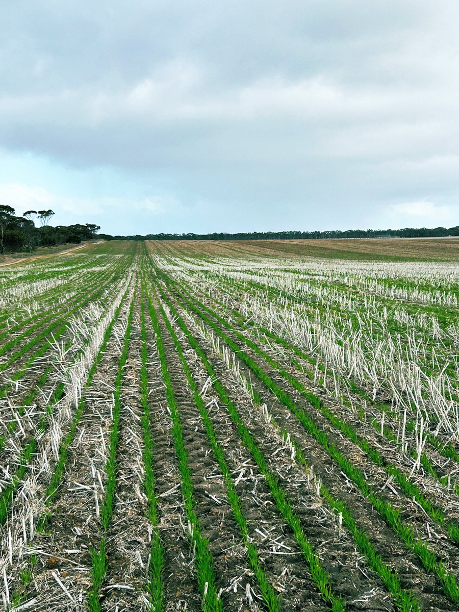 James Bee tweet media