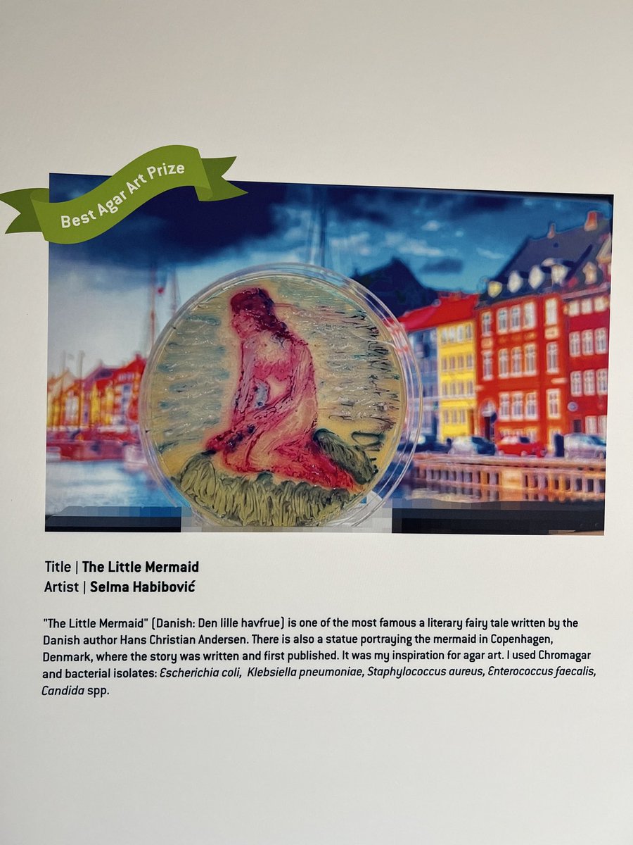 Incredible science art #bacteria <a href="/onehealthau/">Minimising AMR</a>