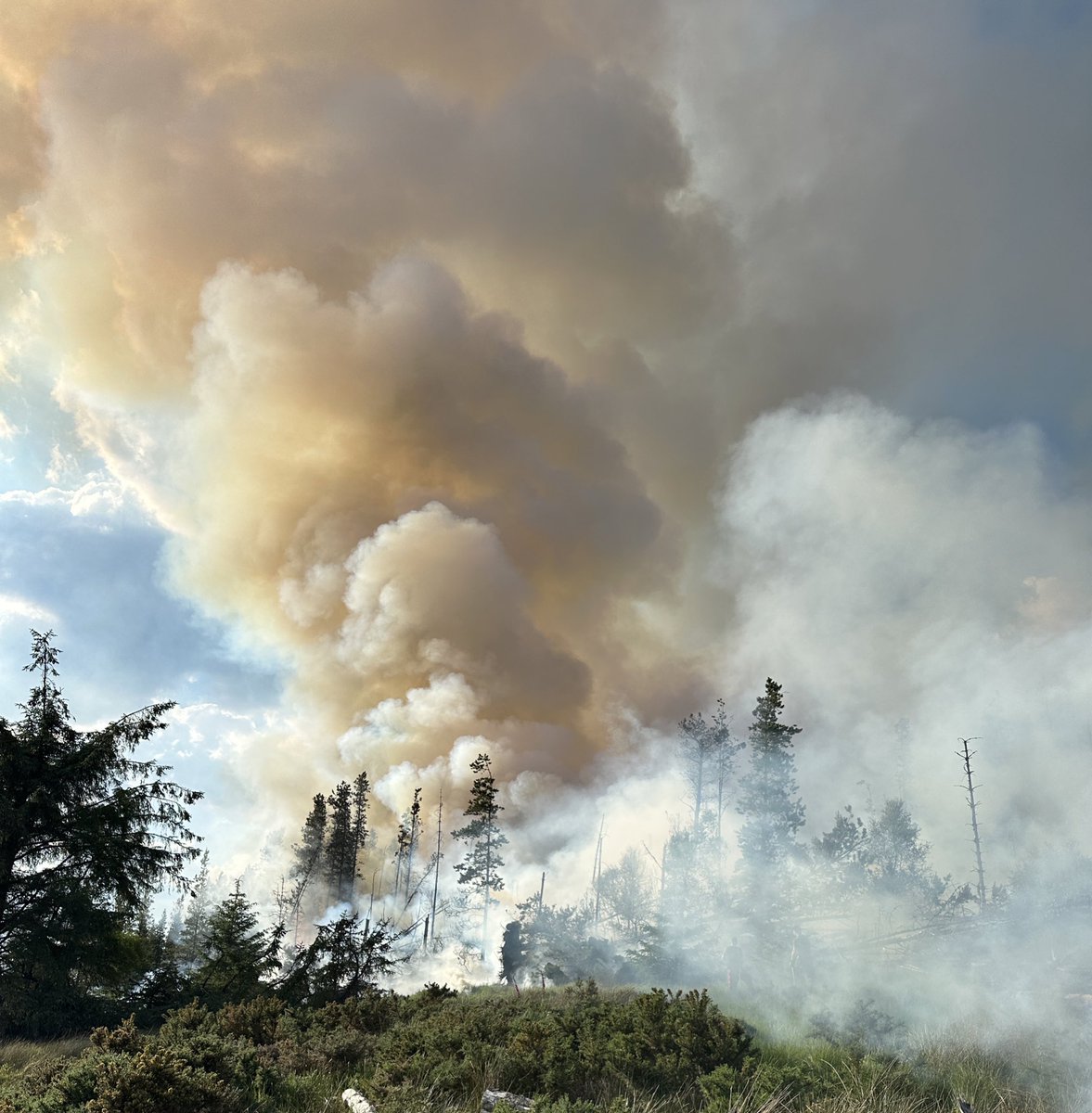 FortStation's tweet photo. Crews from across Highland have been engaged in firefighting in Invergarry at Tomdoun from 1430 today.

Scaled back overnight before helicopter operations are planned to resume in the morning 🚁 🔥 

🤝 Great teamwork again between crews 🚒

#invergarry #wildfire #forestfire https://t.co/cgNY9nHR2d