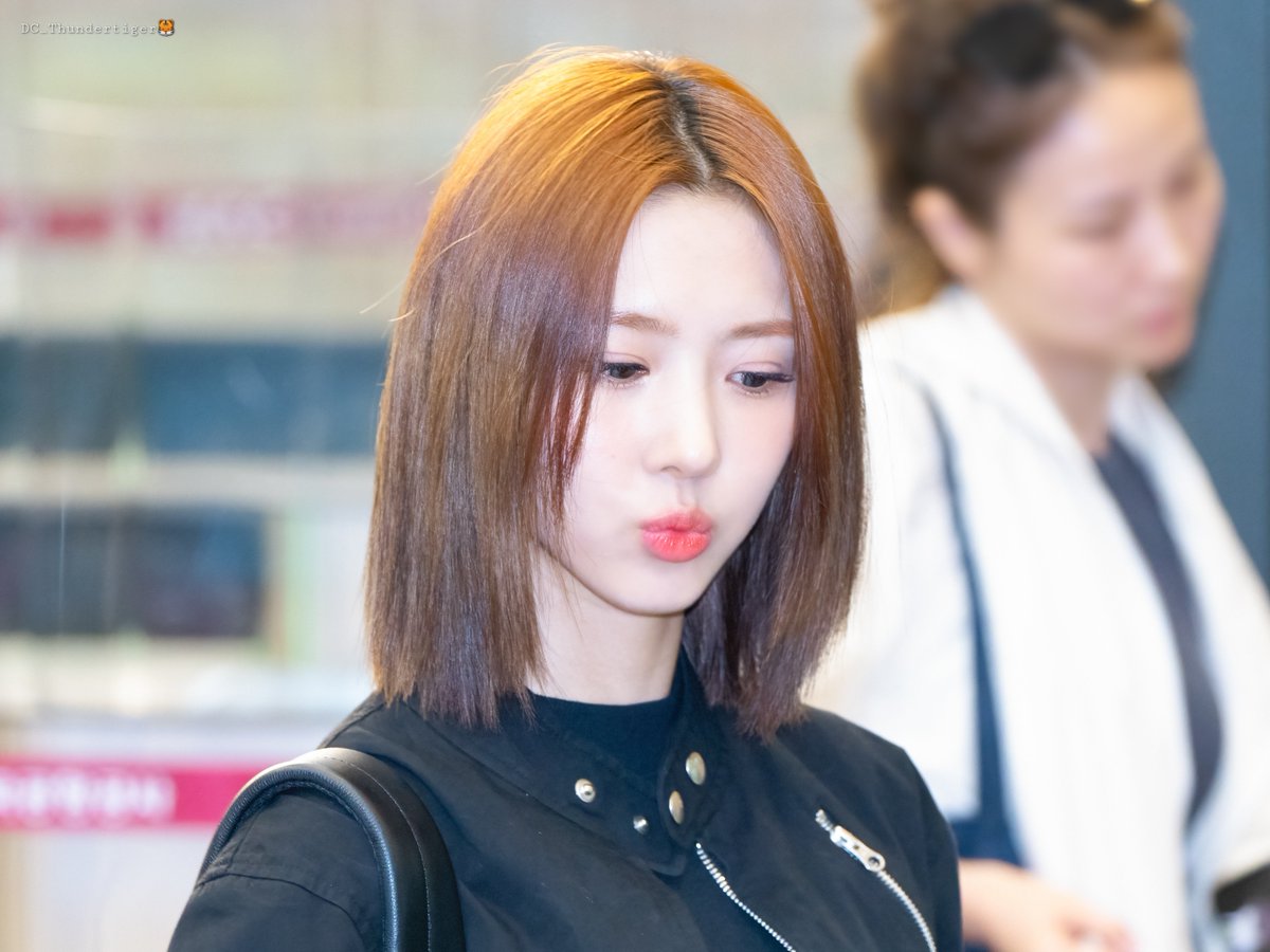 DC_Thundertiger's tweet photo. 230616 김포 GMP 출국 HQ

#드림캐쳐 #유현 #김유현 #DREAMCATCHER #YOOHYEON

@hf_dreamcatcher https://t.co/SAbPgnZyyc