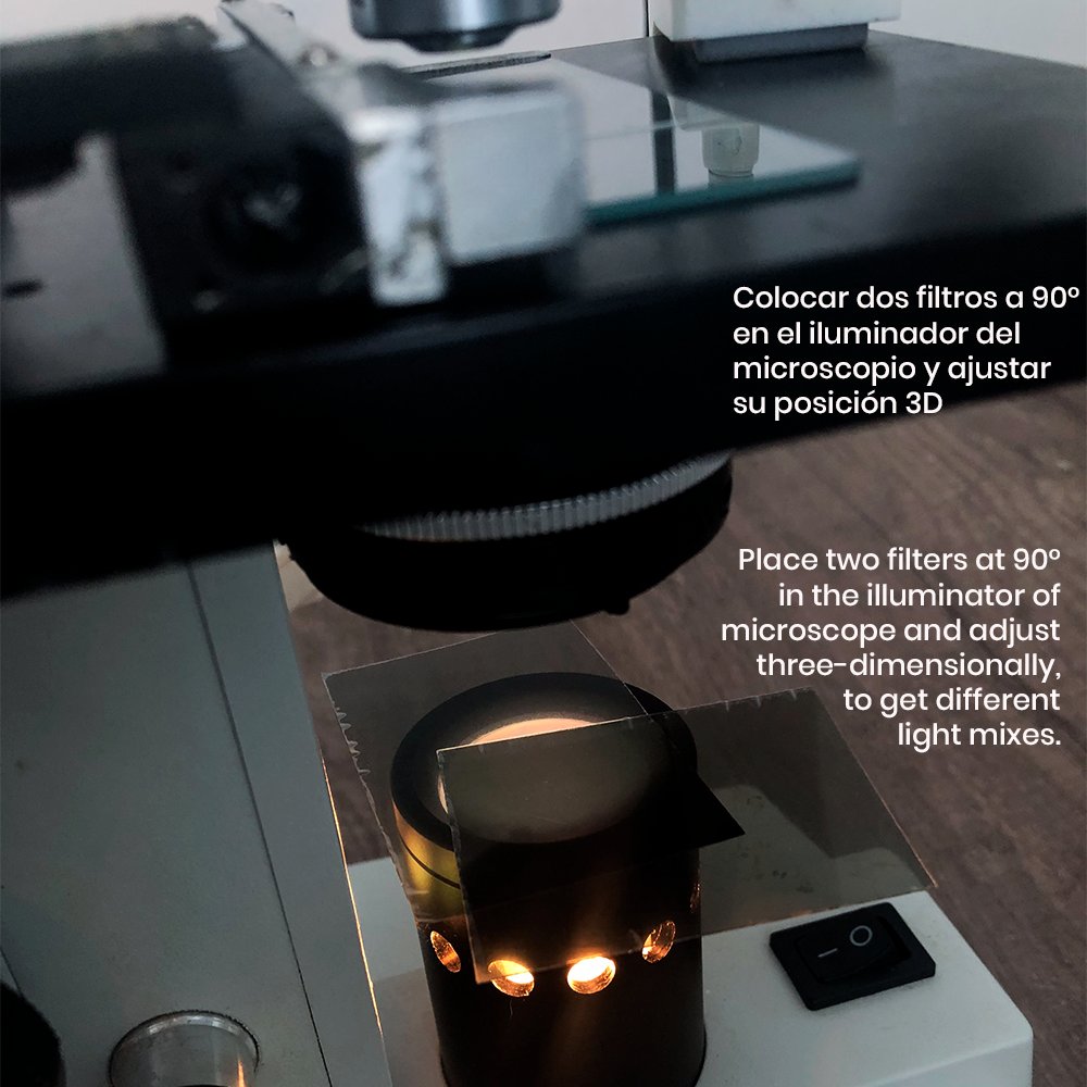 BankAlgae's tweet photo. Ever wondered how scientists get such amazing photos?
You should definitely get to know polarized light technique.
¿Conoces la microscopía de luz polarizada?
Aquí tienes un hack para obtener fotos fuera de lo común y mejorar el contraste de los microorganismos.
#phycologyfriday https://t.co/mjtozwMFB4