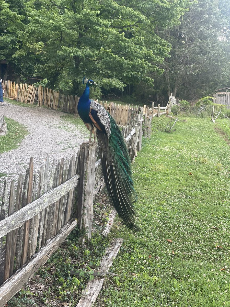 Randy Boyd tweet media