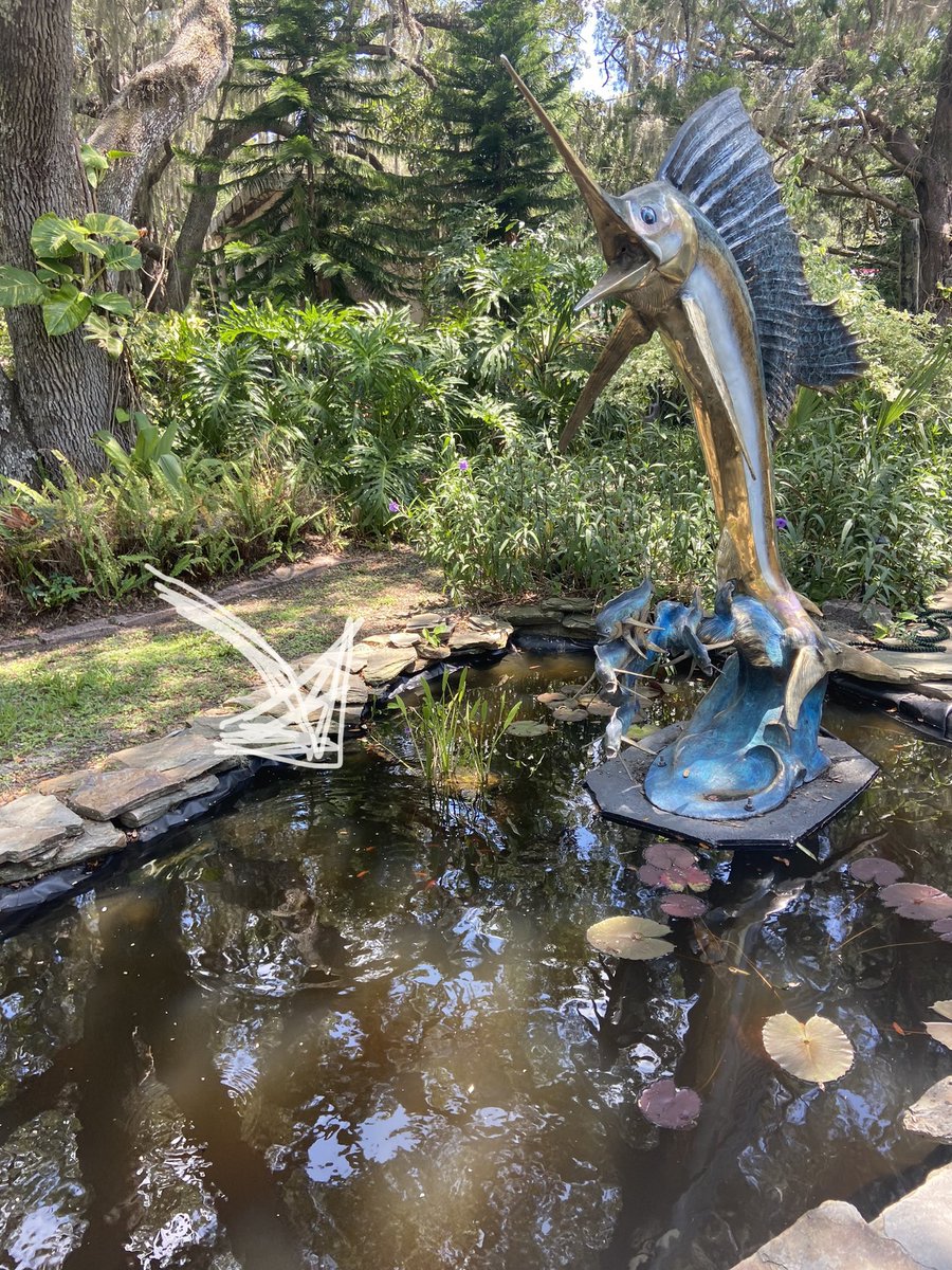 BecHolmes88's tweet image. #Goldfish People: Lily Pads are doing the trick! Maybe it’s because I’m feeding them now? (They told me they’d just eat the algae 🤷🏻‍♀️) No more floaters and safe haven from Osprey. Fountain runs most of day. Advice? Be nice-these fuckers are living their best life #pondfish