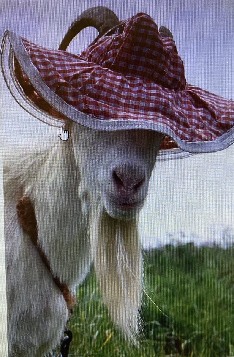 asapJassy's tweet photo. #coquette #lanaDelRey #aesthetic #dollcore #goat #goatmodel #highfashion #model https://t.co/Fay5NP4hae
