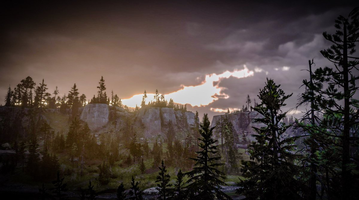 Adopt the pace of nature. Her secret is patience. 
-Ralph Waldo Emerson

#RedDeadRedemption2 #RedDeadRedemptionOnline #RDO #SaveRedDeadOnline #RockstarGames #VirtualPhotography #SimpleShotSaturday #VGPUnite #VPRT #LandofVP #WorldofVP