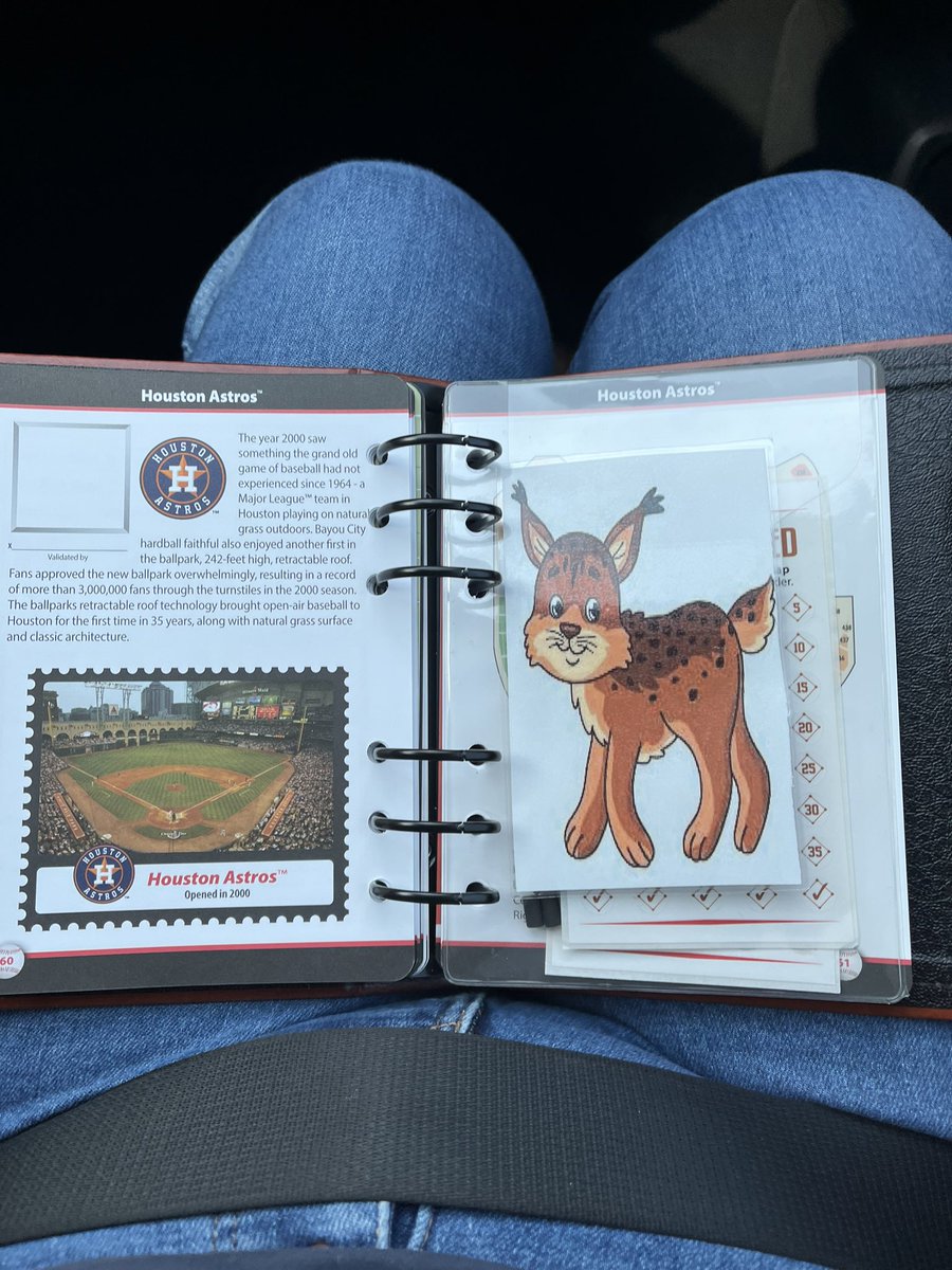 LisaRaymundo3's tweet photo. Take me out to the ballpark 💙⚾️🧡🐾
#BOBCATSABROAD https://t.co/OrTDtIWS0O