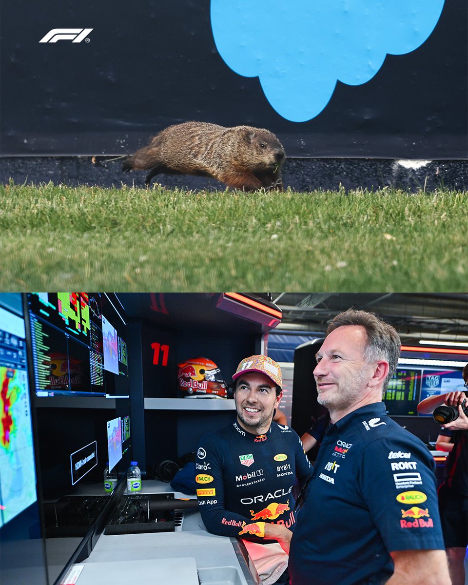 The groundhogs: *existing* 
Us: LOOK AT THEM 😍🥰🥹

#CanadianGP #F1 @redbullracing @SChecoPerez