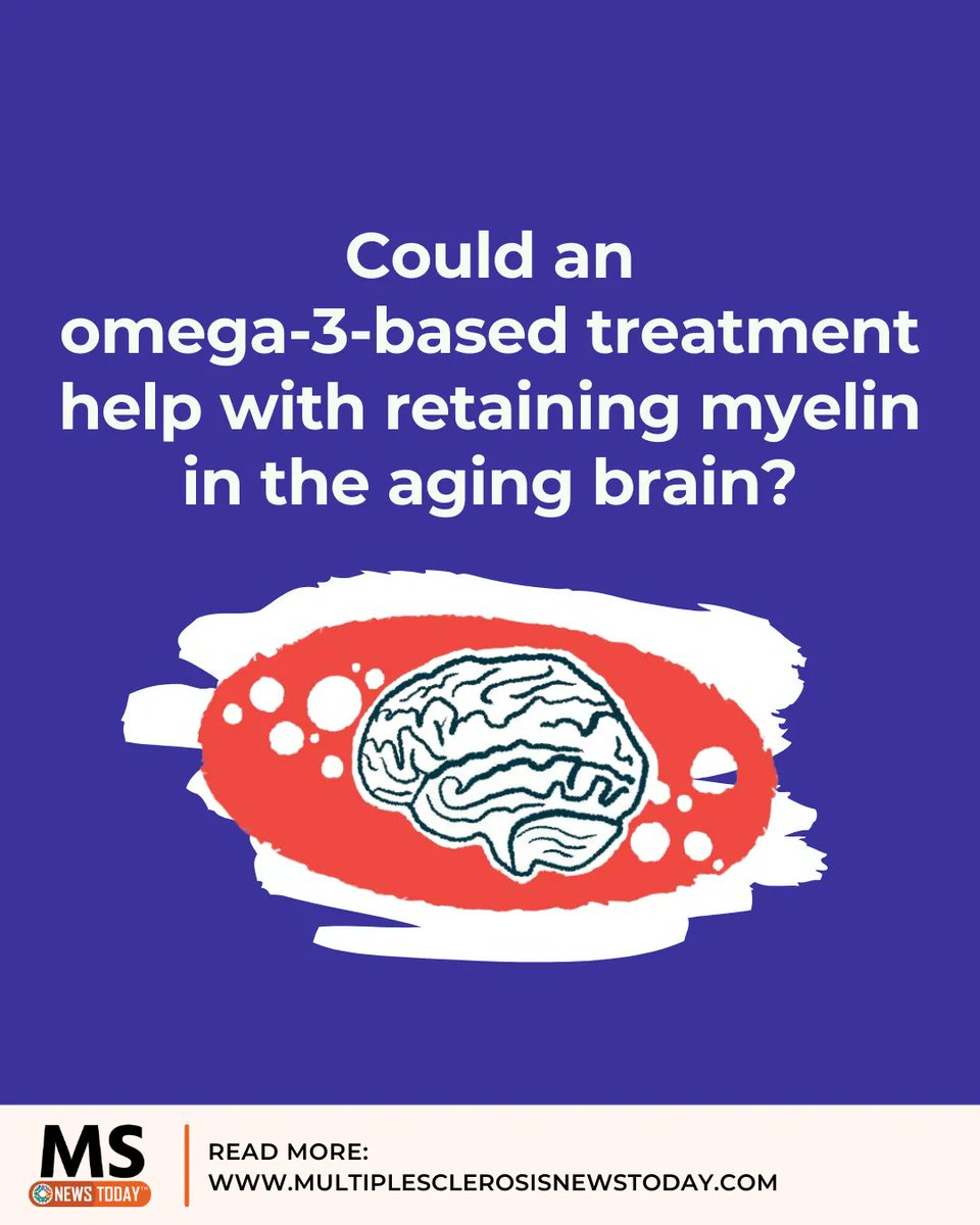 MSNewsToday's tweet photo. Singapore researchers plan to organize preclinical studies aimed at studying dietary omega-3 and its effects on remyelination. https://t.co/61RdtrWC37

#multiplesclerosis #msnews #msawareness #mscommunity https://t.co/iyEaB3fVj3
