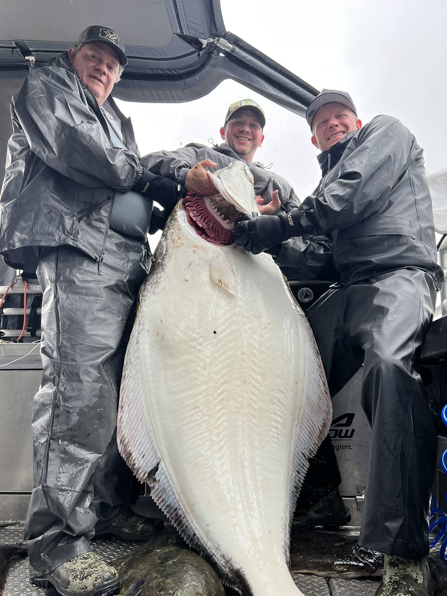 Day 6 in Alaska 🏔️

Today's catch? Halibut.