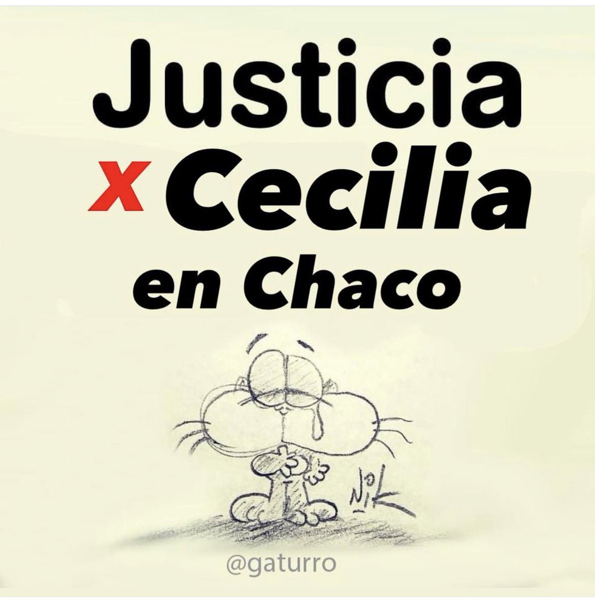 Justicia x Cecilia en Chaco
