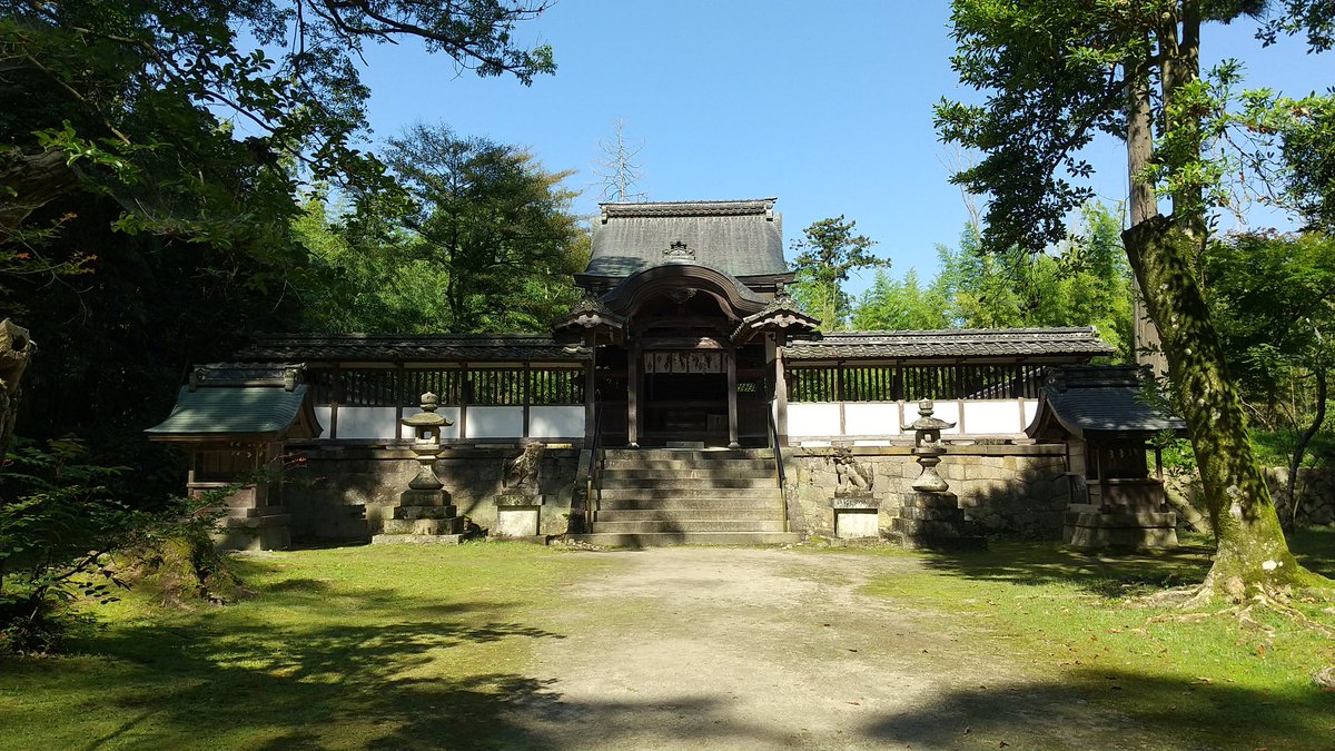 タマ姫竜宮姉妹🪸 on Twitter 