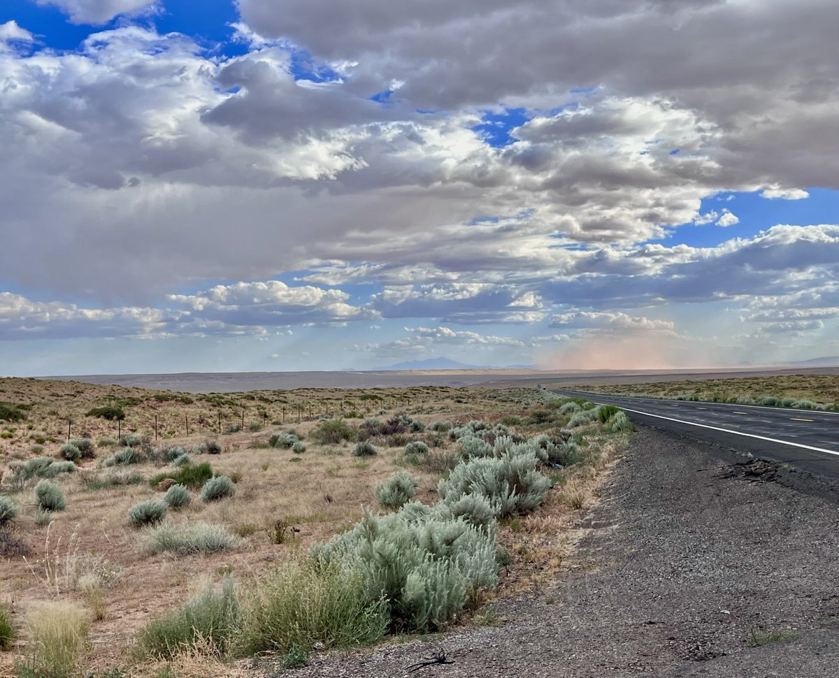 ToTah_NAZ's tweet photo. Left just in time!! Haboob came right when we left town!! 🌪️ 🏜️ 
#NorthernArizona #SanFranPeaks #Haboob #GoDrive https://t.co/sJtR38Ou95