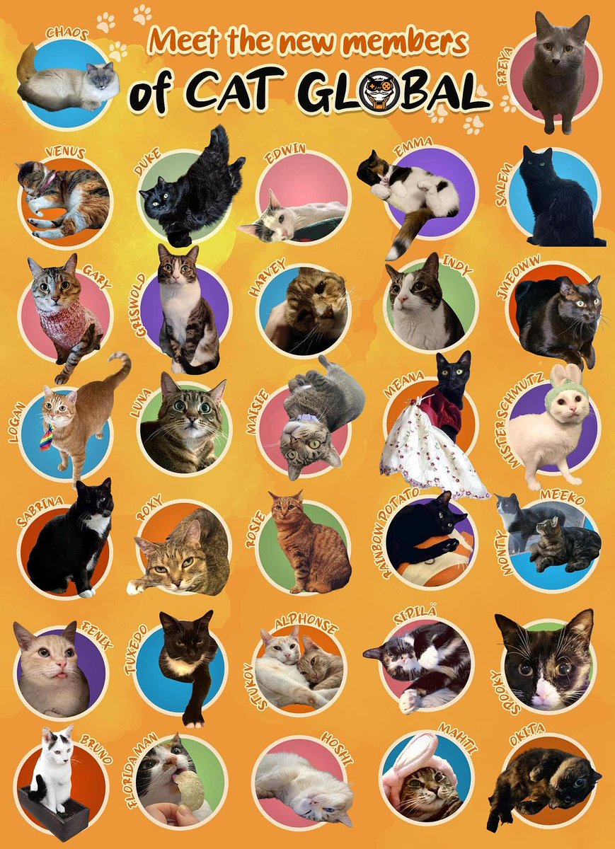 megacatstudios's tweet photo. Introducing the newest members of #CatGlobal this #Caturday! πΎβ¨
These adorable #feline friends have brought even more joy to our lives since they joined us last month. Join us in celebrating the incredible bonds we share with #cats from all over the world! π https://t.co/QEC2SyUwno