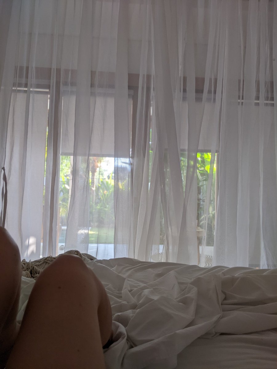 mothzarella's tweet photo. I've woken up in worse places https://t.co/DpWuPp6LEB