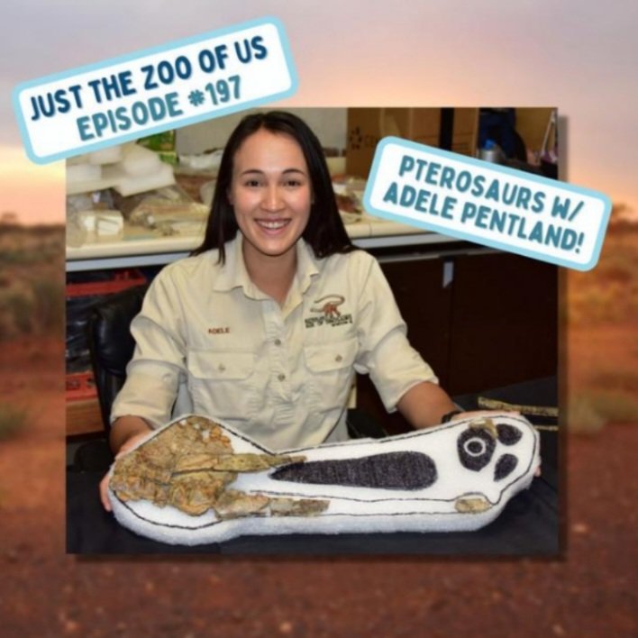 Adele Pentland (@adelepentland) on Twitter photo Join me and Ellen Weatherford on <a href="/JusttheZooofUs/">Just the Zoo of Us πππ¦¬</a> an #animal #review #podcast discuss pterosaurs and rate them out of 10 in the categories of effectiveness, ingenuity and aesthetics! open.spotify.com/episode/3ThFIvβ¦ Join me and Ellen Weatherford on <a href="/JusttheZooofUs/">Just the Zoo of Us πππ¦¬</a> an #animal #review #podcast discuss pterosaurs and rate them out of 10 in the categories of effectiveness, ingenuity and aesthetics! open.spotify.com/episode/3ThFIvβ¦