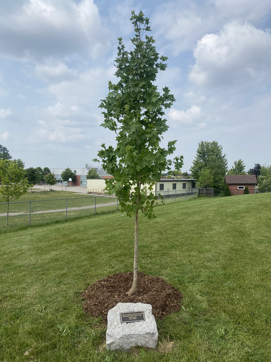 𝐹𝓇𝒶𝓃𝒸𝑒𝓈𝒸𝒶 𝒞𝒶𝓇𝓊𝓈𝑜-𝒫𝒶𝒸𝑒 tweet media