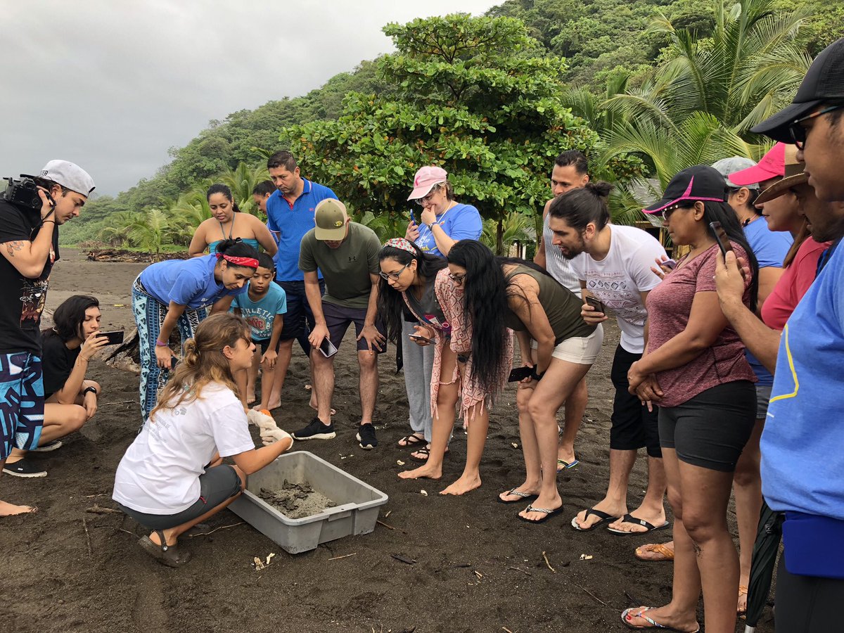 Haydeemedinar's tweet image. A @tortuguias por abrirme las puertas y permitir acompañarles en ese trabajo tan hermoso y extraordinario que realizan en Cambutal y Punta Chame con todas personas que les apoyan y @Banistmo por creer en la
Conservación en Panamá