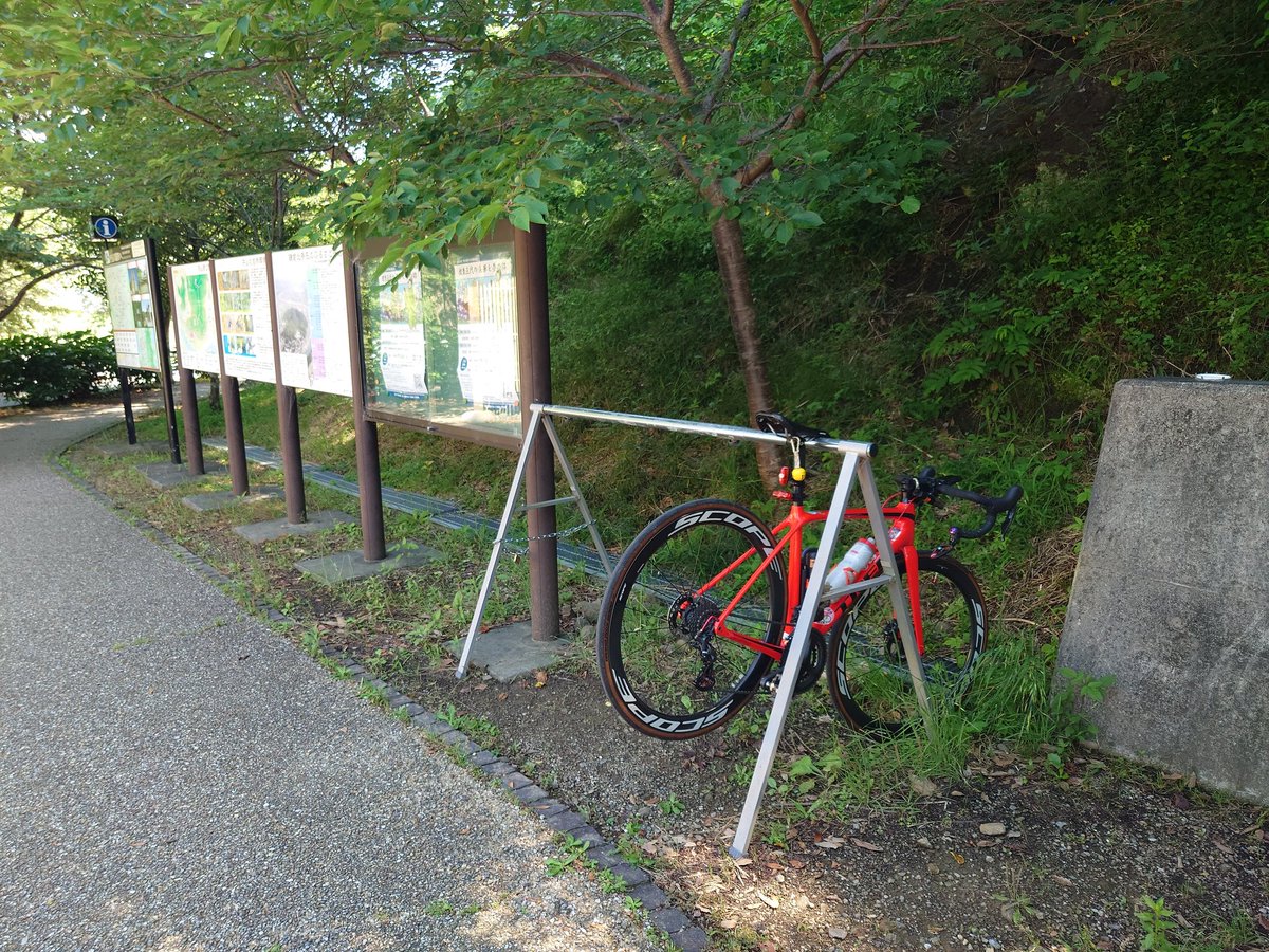 EMONDA_ALR6_SL6's tweet photo. 今日は、ここまでにしといてやるw
#ロードバイク
#エモンダ
#EMONDA
#RedBeco
#赤ベコ https://t.co/ufRRgRl0Pn