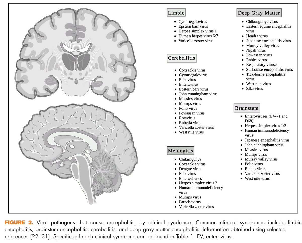 Diagnosing viral encephalitis and emerging concepts.

DOI:10.1097/WCO.0000000000001155