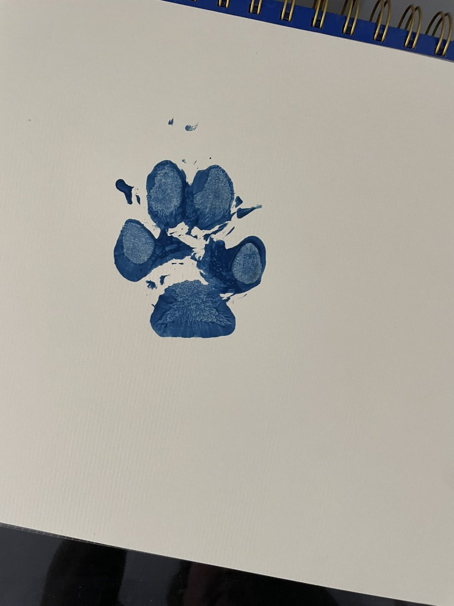 So hard to say goodbye. My heart is truly broken. Love you always my baby💔❤️