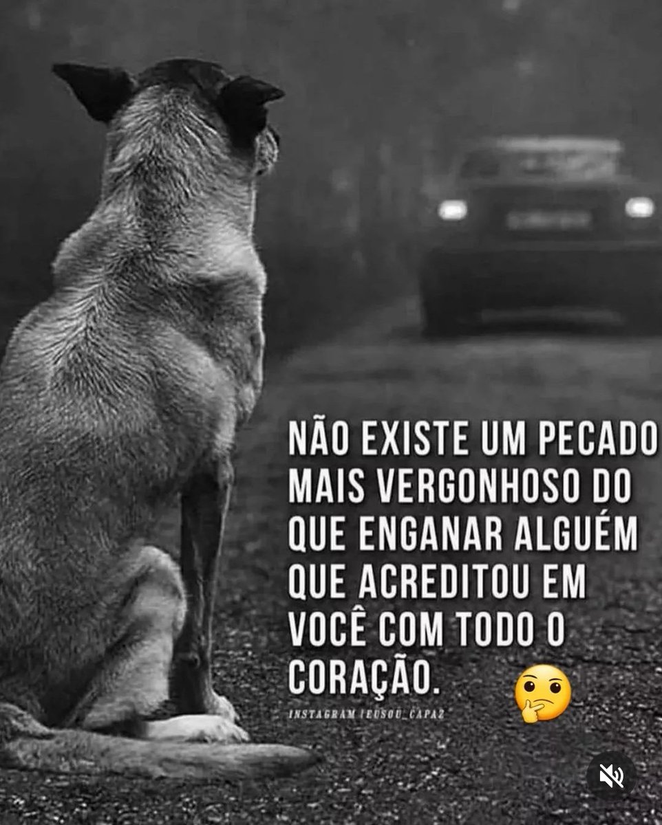 Ailton Lula da Silva (@penailton) on Twitter photo 