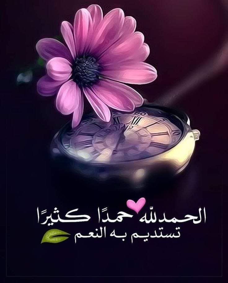الحاج.كنانه الكناني tweet media