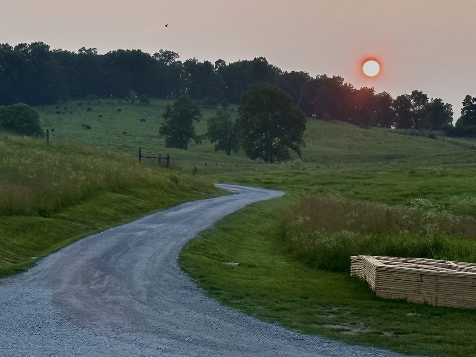 The perfect end to a beautiful Friday 🌅

#sunset #whiskeythiefdistillingco #whiskeythief #whiskey #bourbon #bourbontrail #kentuckybourbontrail #kentucky #singlebarrelbourbon #singlebarrel #craftbourbon #craftdistillery #visitkentucky #bourbonlovers