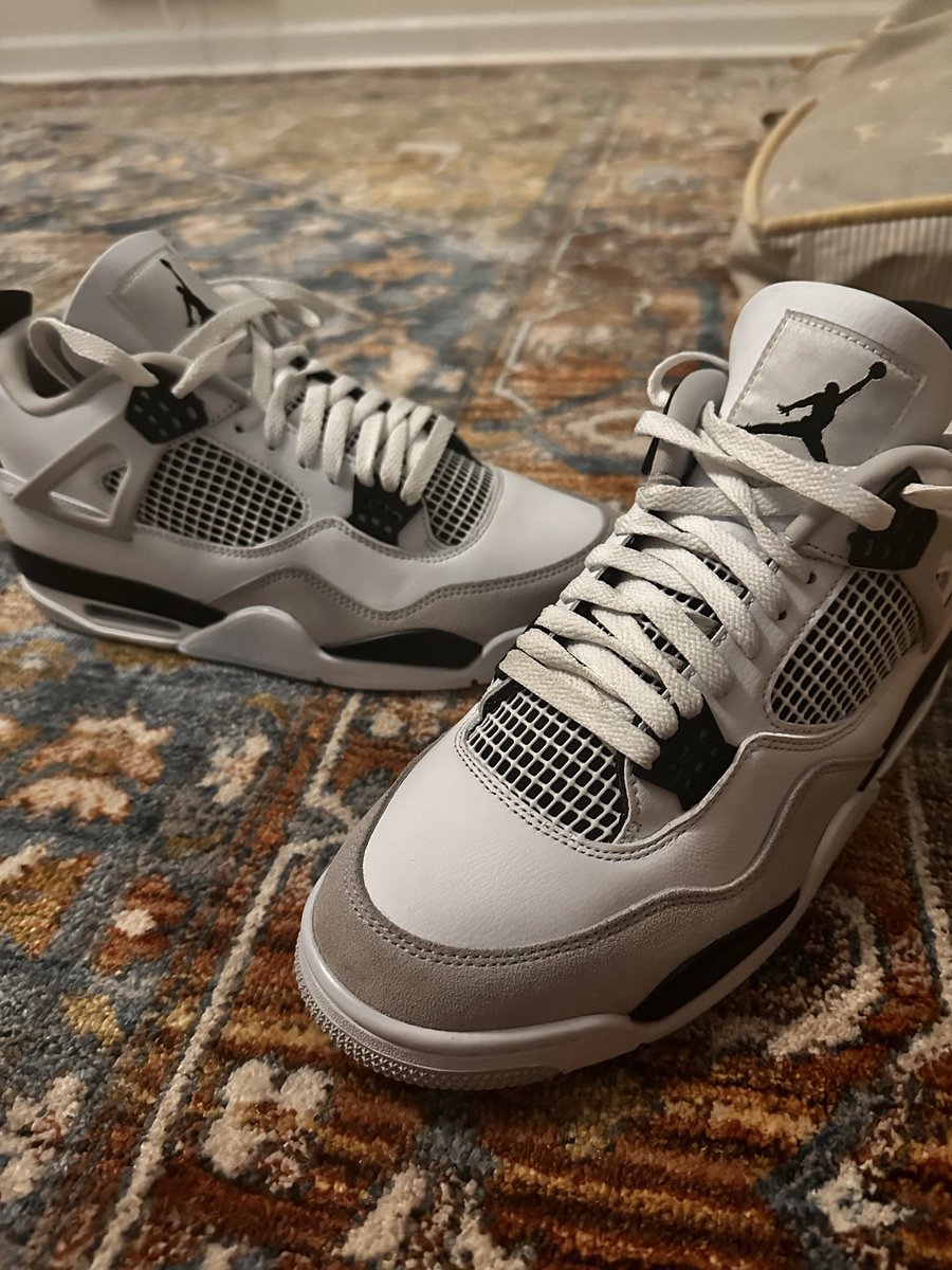 ollie𝕏  tweet media