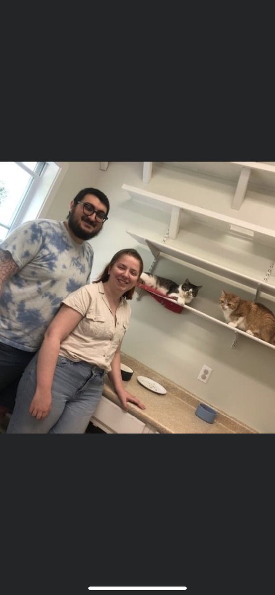 Geralt and Jaskier went home TOGETHER!

 #animalshelter #animalshelters #fpas #rescuelife #sheltercats #rescuecats #sheltercat #rescuecat #animalrescue #rescue #PleaseShare #foreverpawsfamily #community #adopt #familypetsaresuperheros #CatsOfInsta