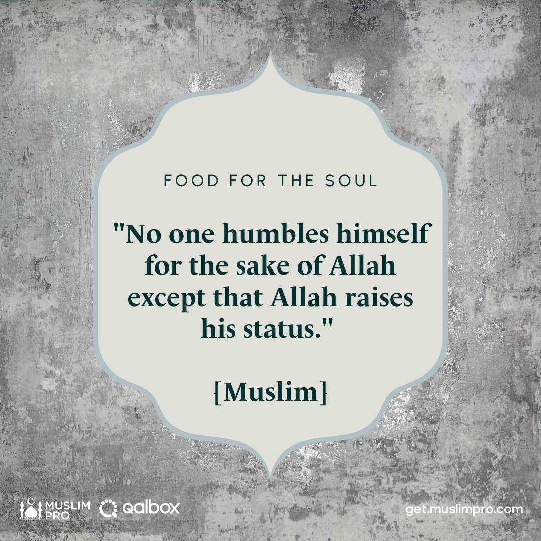 May Allah continuously humble and bless us. Ameen. 🤍

#muslimpro #qalbox #muslimmotivation #motivation #appreciation #muslimproquotes #mpfoodforthesoul